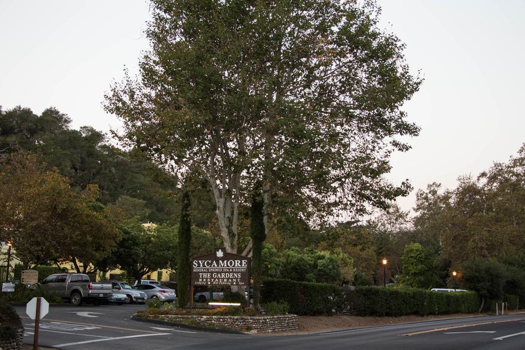 Sycamore Mineral Springs Resort 4*