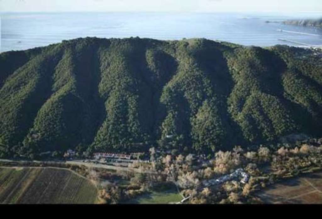 Resort Sycamore Mineral Springs Avila Beach